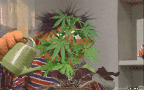 05f77279-1356-409c-bb47-3de8dbcc87d9.gif