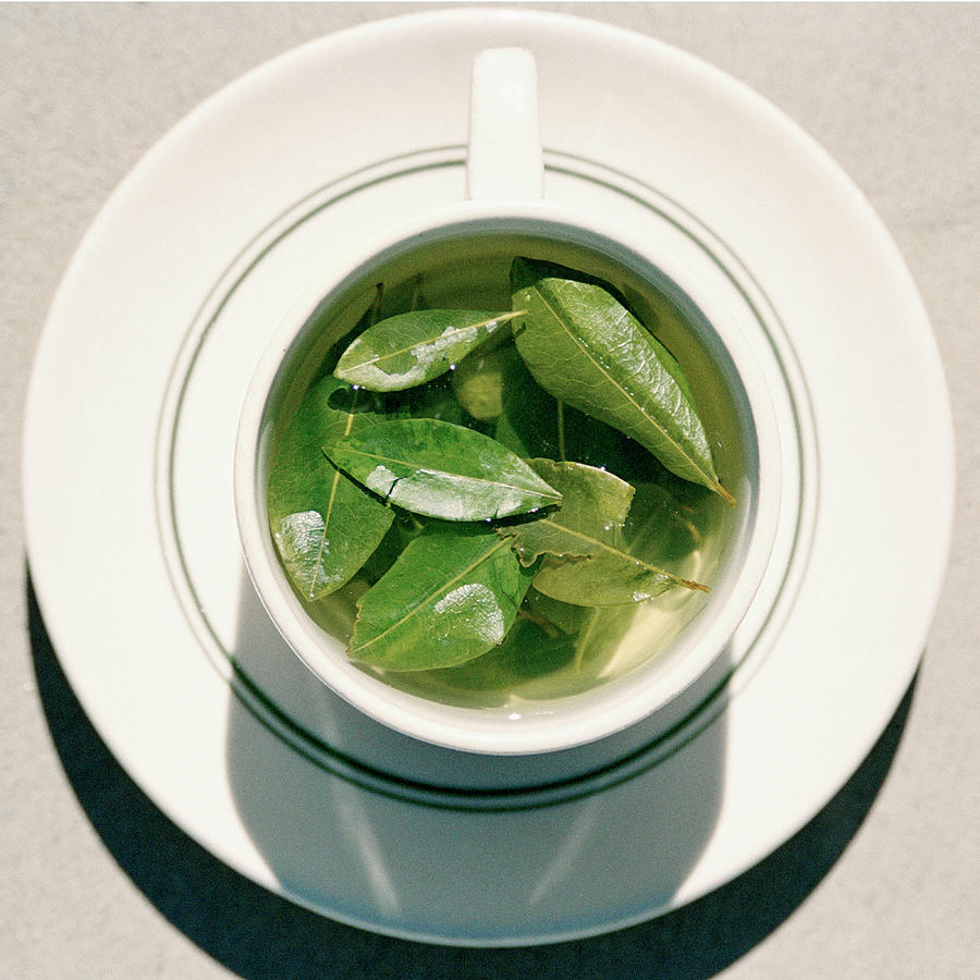 1-coca-leaf-tea-cristina-pedrazziniscience-photo-library.jpg