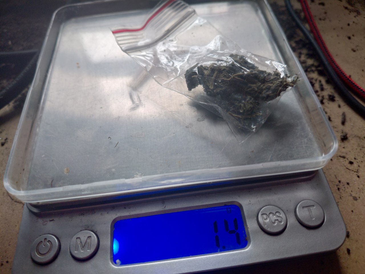 1000001208.jpg