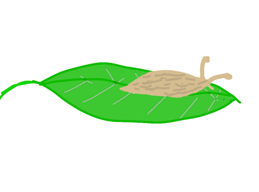 1000015053.png