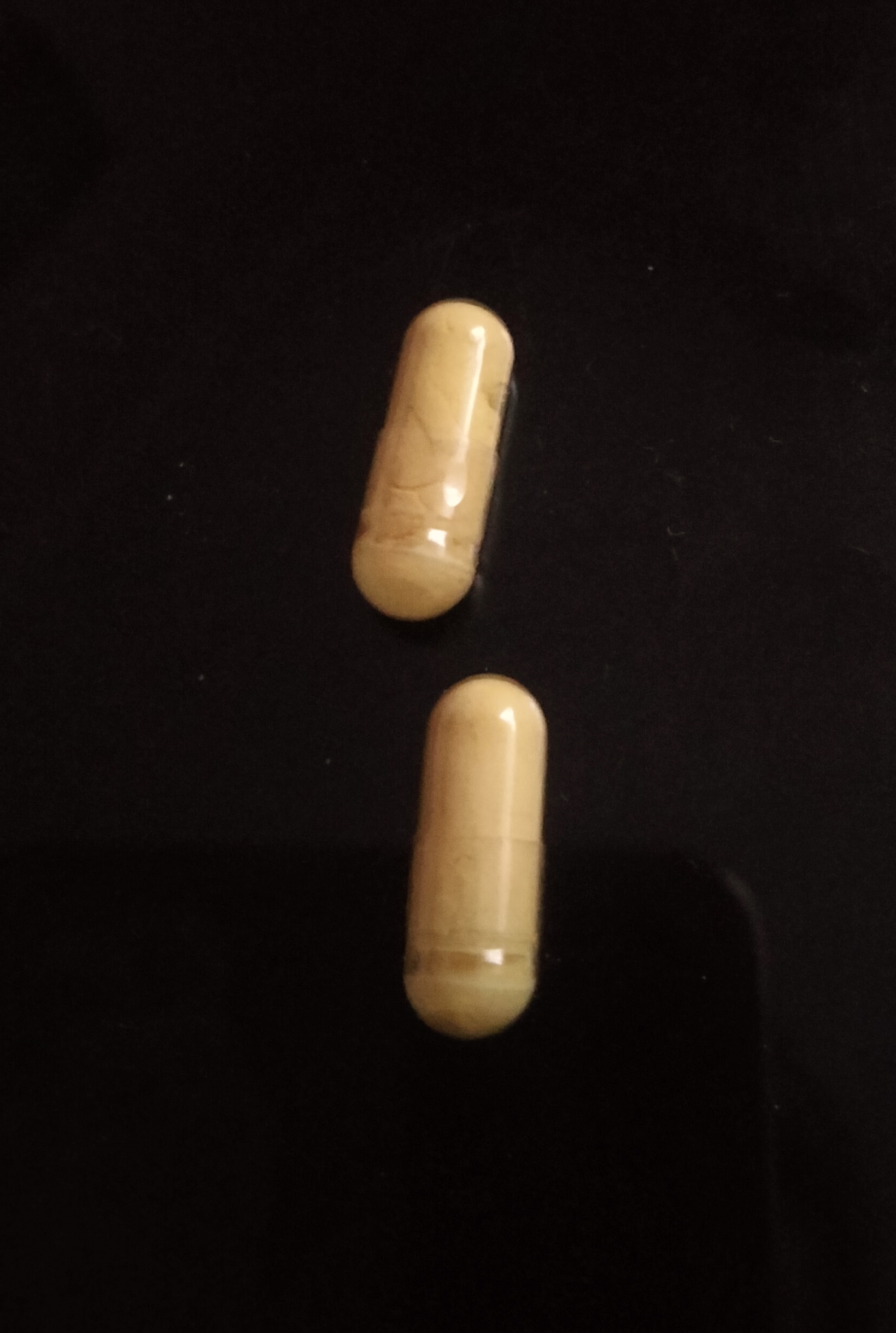 1000036310.jpg