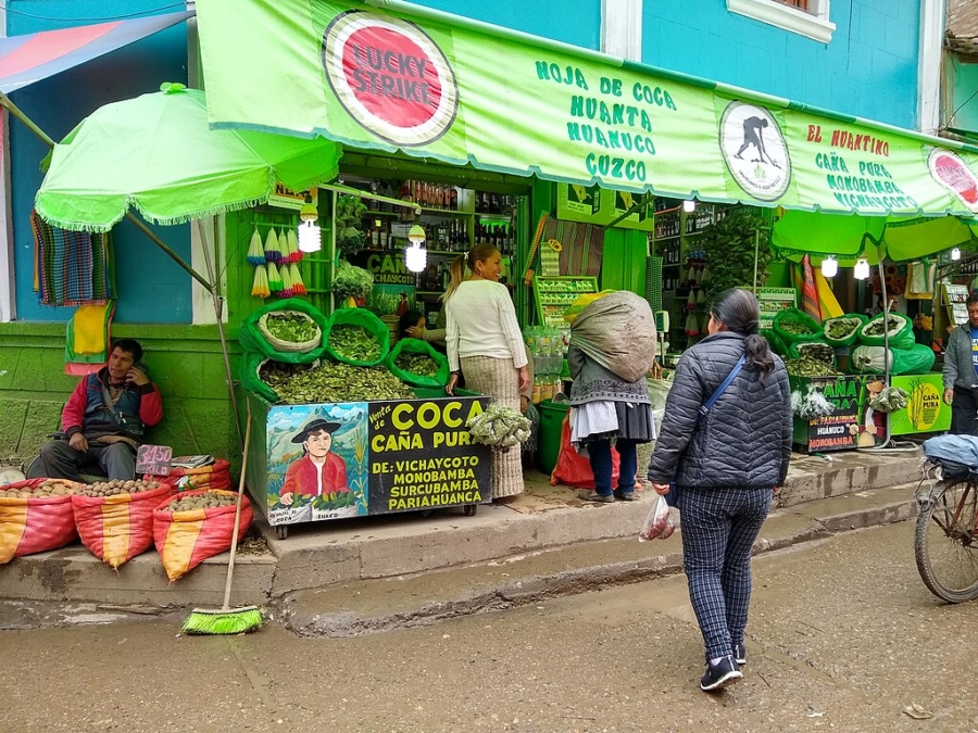 1024px-Huancayo_Peru-_coca_leaf_sellers-e1760436037663.jpg