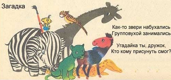 1152072899_zagadka.jpg