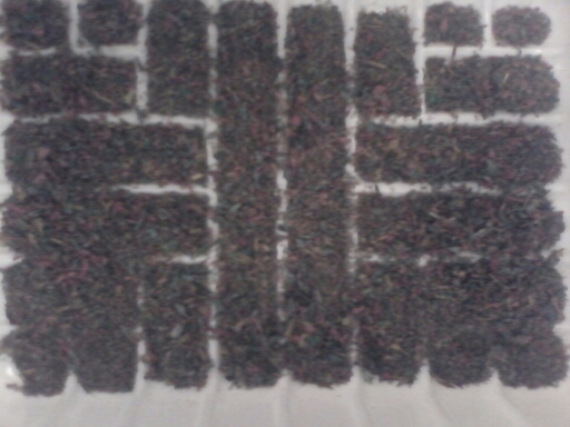 1384800474295.jpg