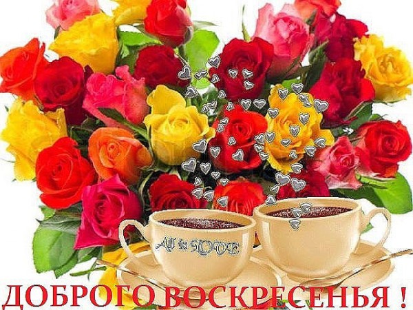 1437520_600.jpg