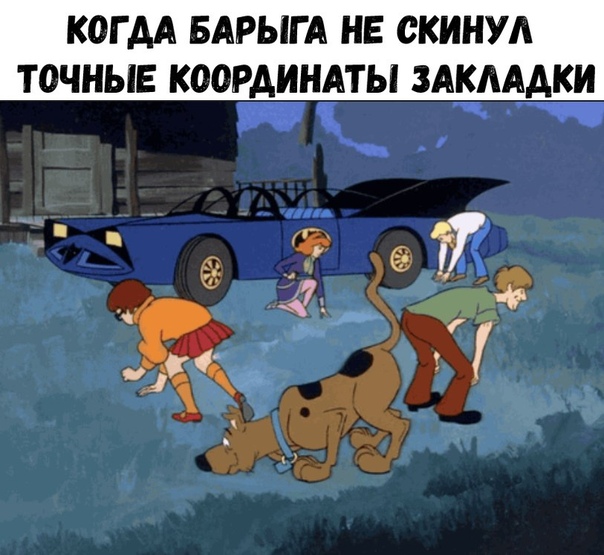 1528748113.jpg