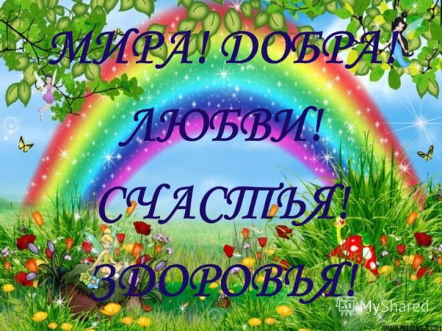 1539936086_3.jpg