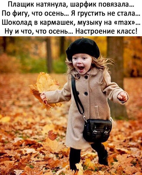 1541260498.jpg