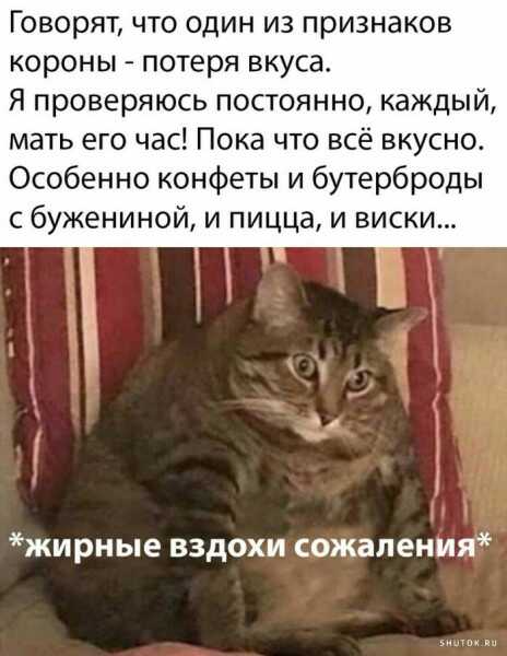 1590726923553.jpg