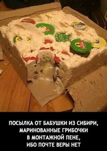 1590726995235.jpg