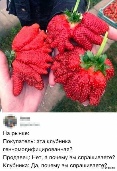1590727005412.jpg