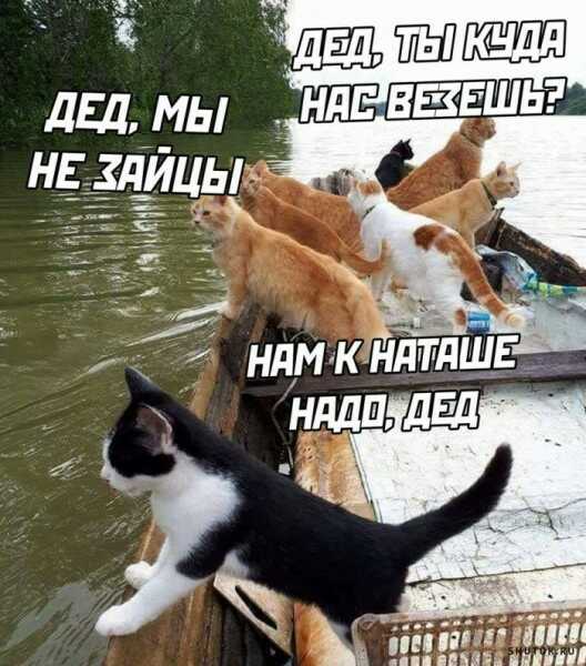 1590727025237.jpg