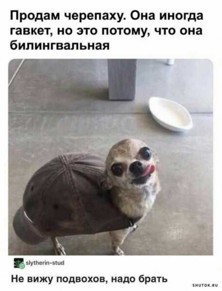 1590727163757.jpg
