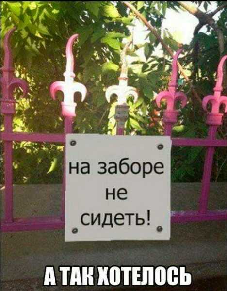 1590727186894.jpg