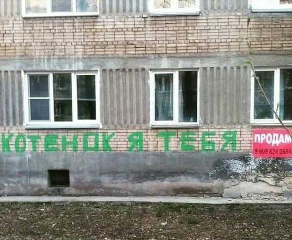 1591253837142.jpg
