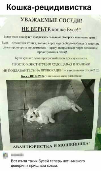 1591326035762.jpg