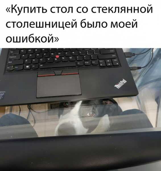 1591326039758.jpg