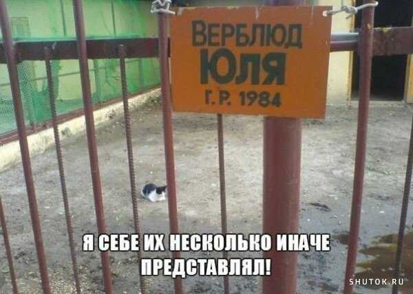 1591947982546.jpg