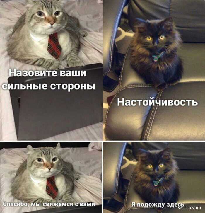 1591948336981.jpg