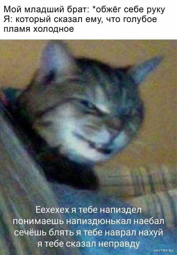 1591948347651.jpg