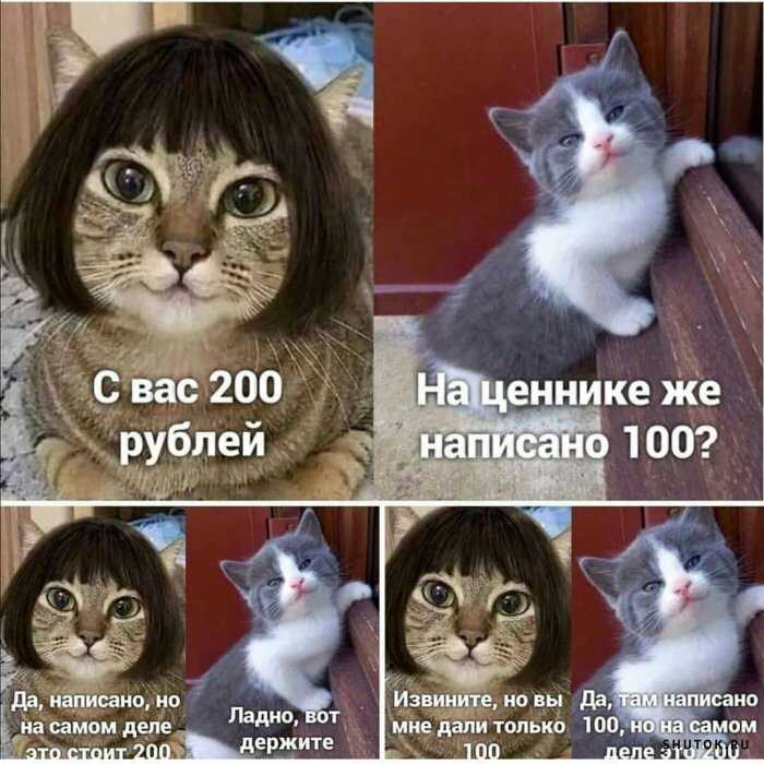 1591948355345.jpg