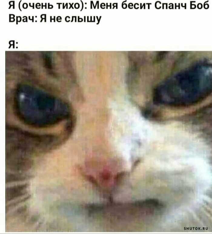 1591948362359.jpg