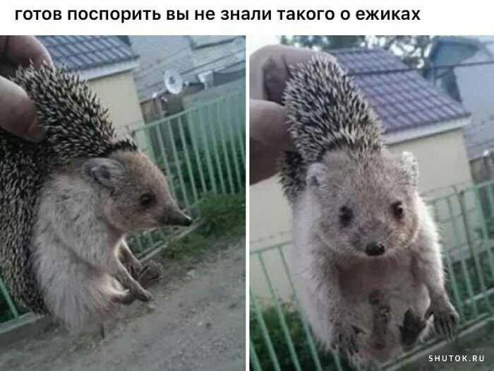 1591948378282.jpg