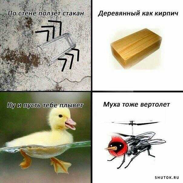 1591948435928.jpg