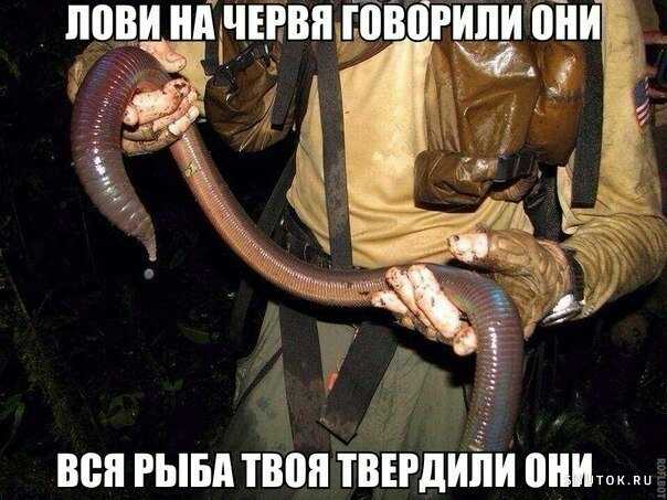1591948661786.jpg