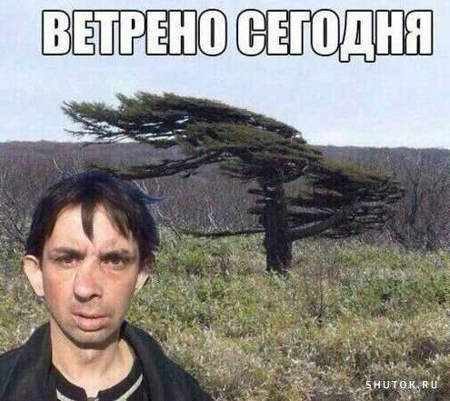 1591948682464.jpg