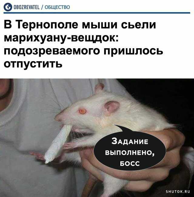 1591948715214.jpg