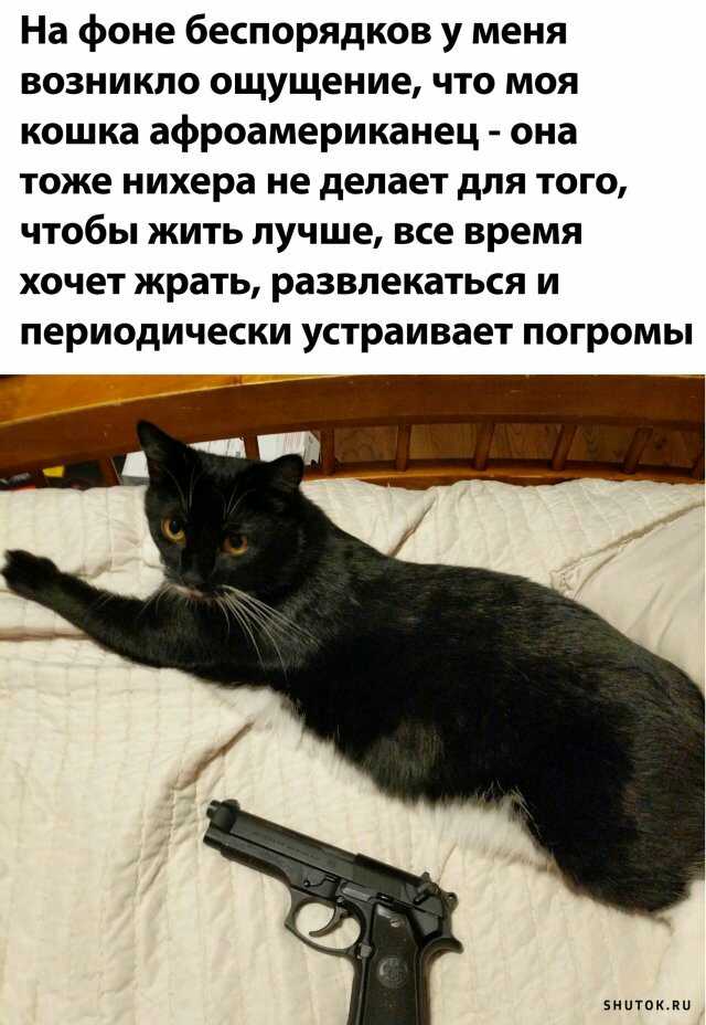 1591948724915.jpg