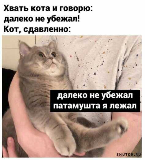 1591948763630.jpg