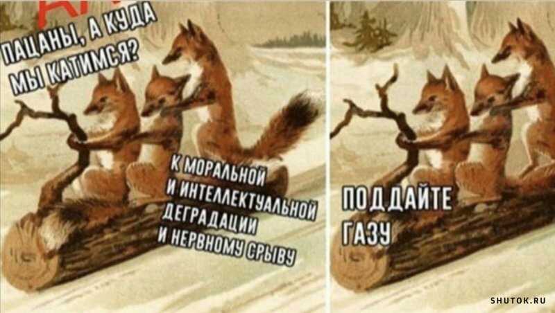 1591949032320.jpg