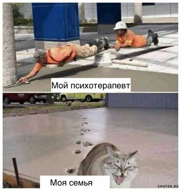 1591949072886.jpg