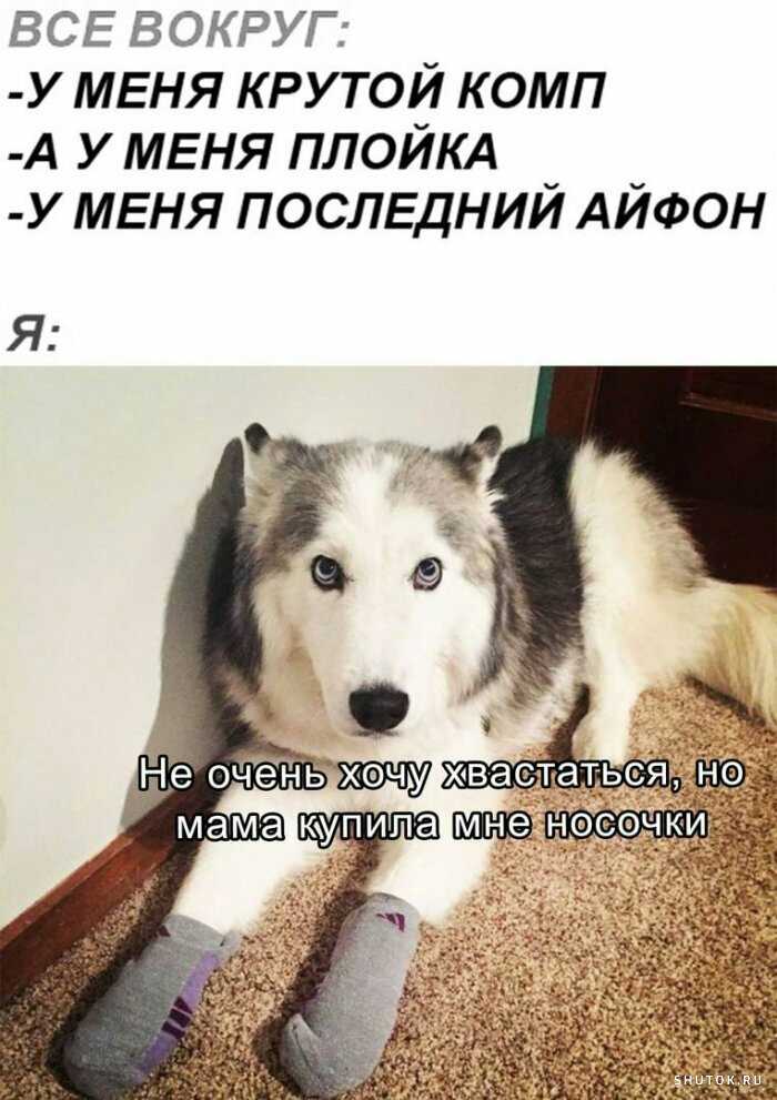 1591949132300.jpg