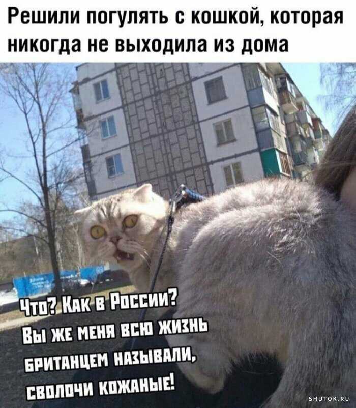1591949172713.jpg