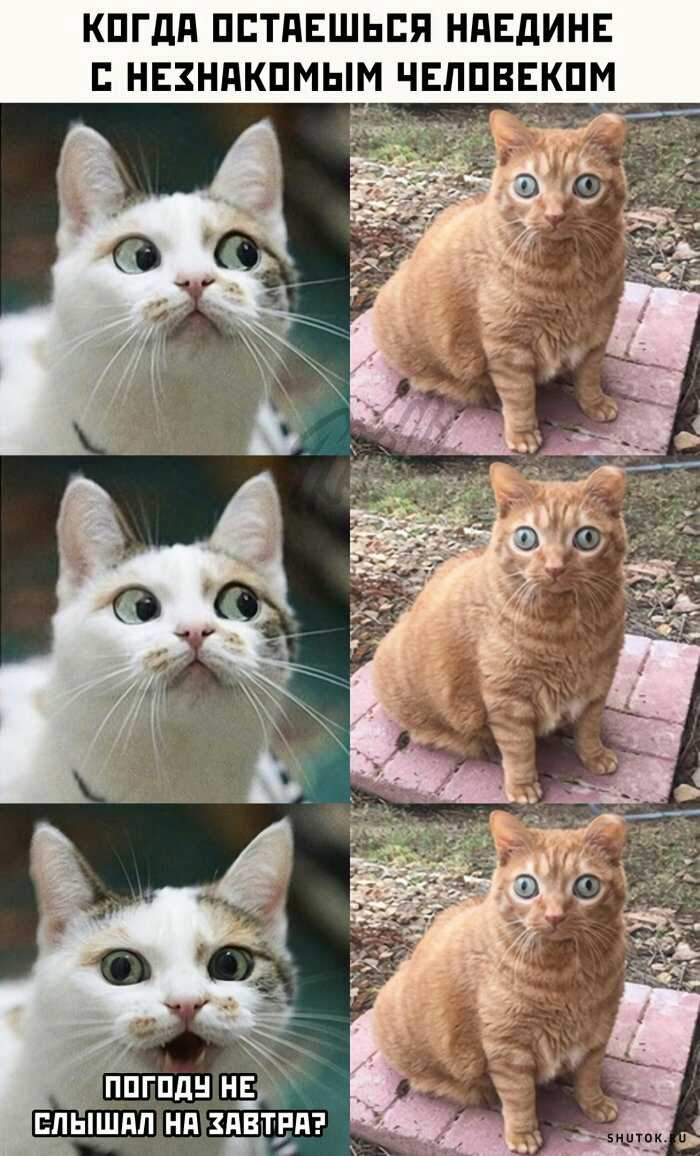 1591949184283.jpg