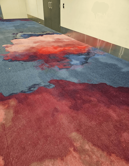 16012026-airport-carpet3.png