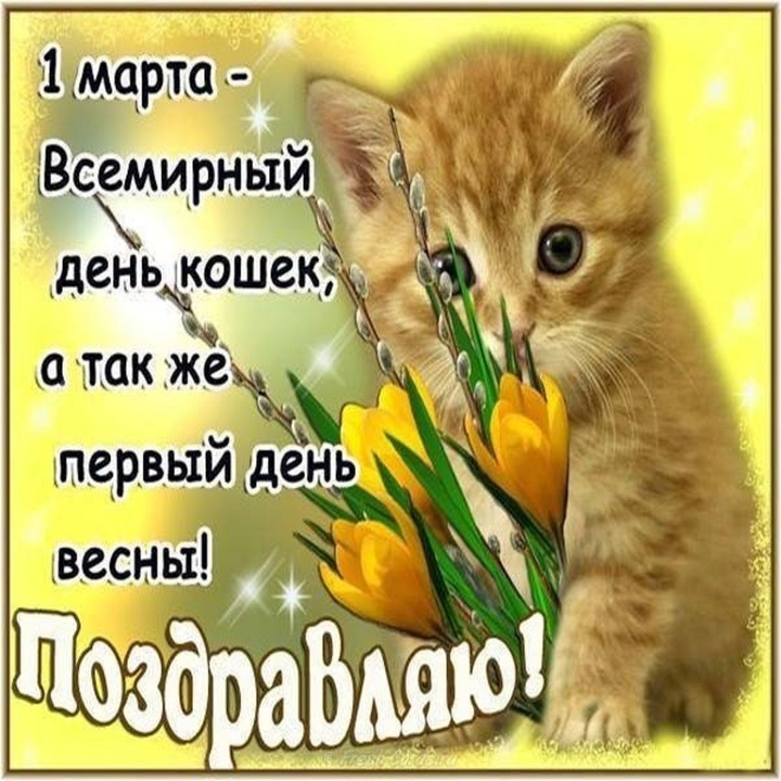 1677623407544.png