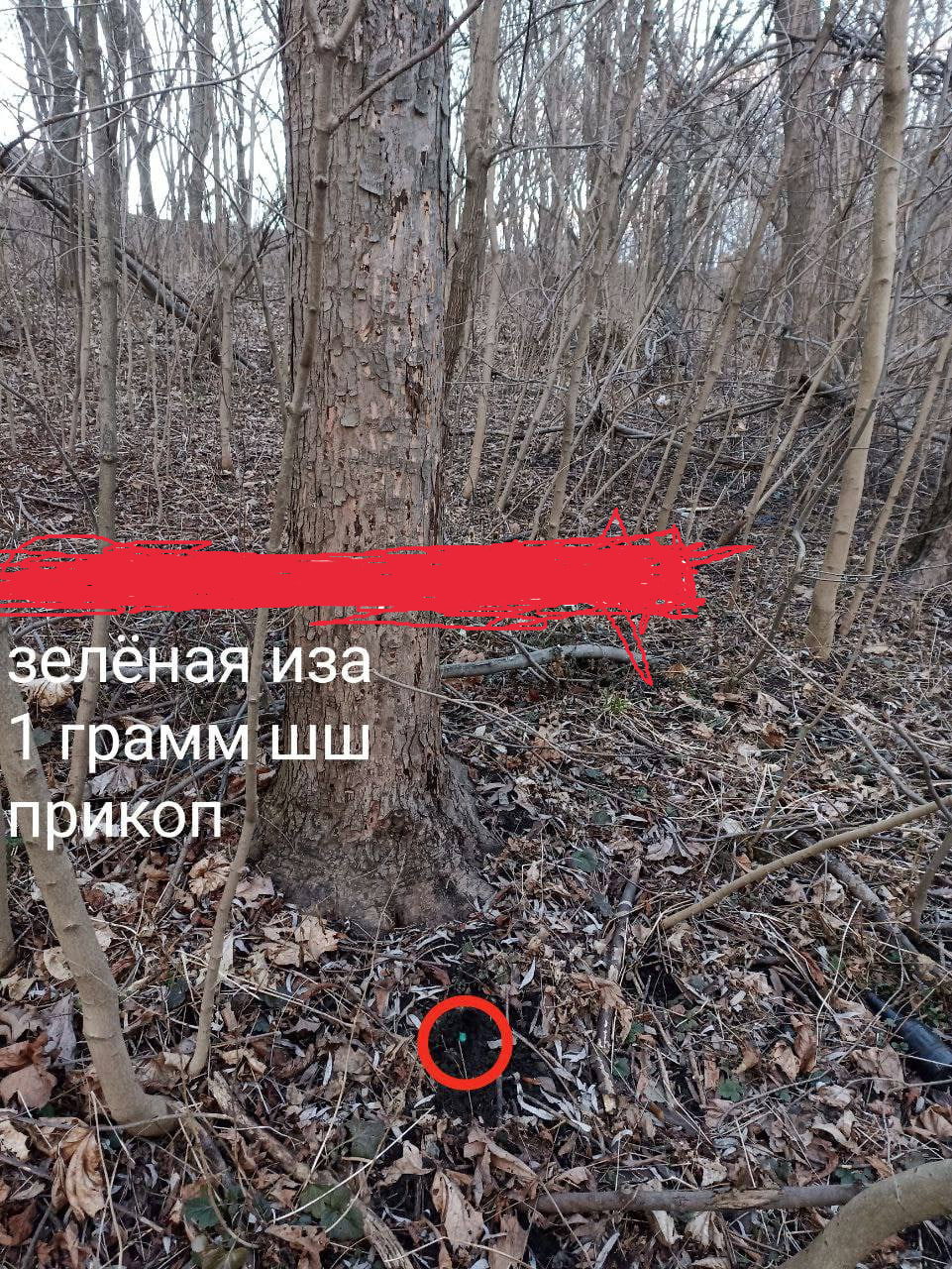 1679833304085.png