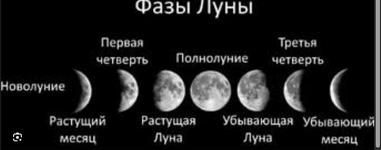 1719586779419.png