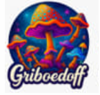 1759771954211.png