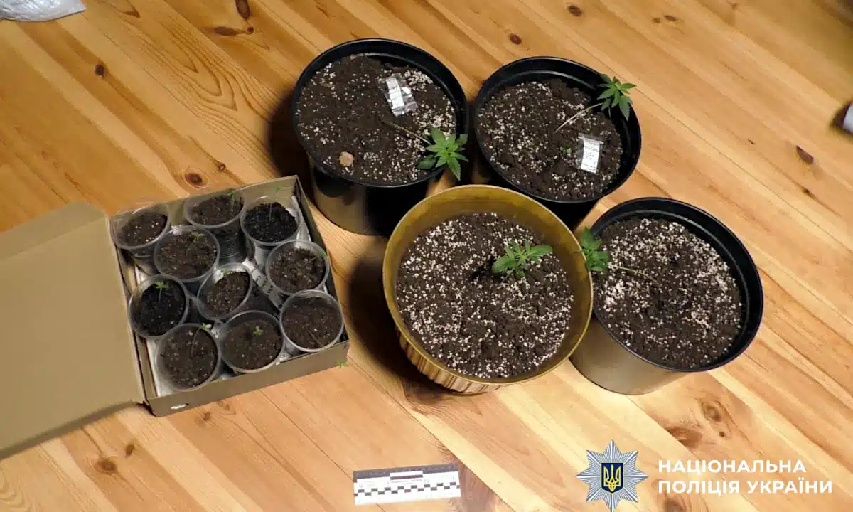 1773667759258.png