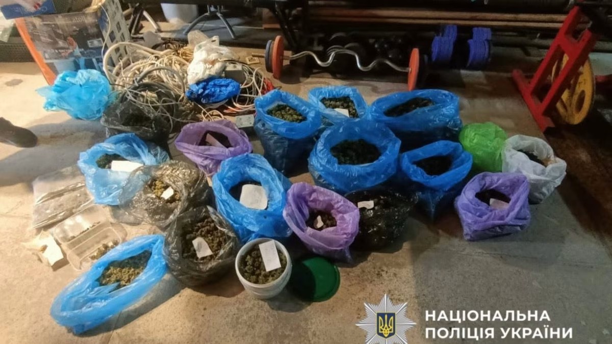 1774588135154.jpeg