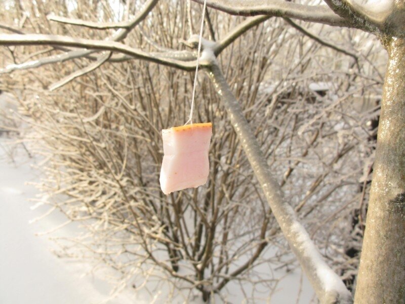 2010.12.31 024.jpg