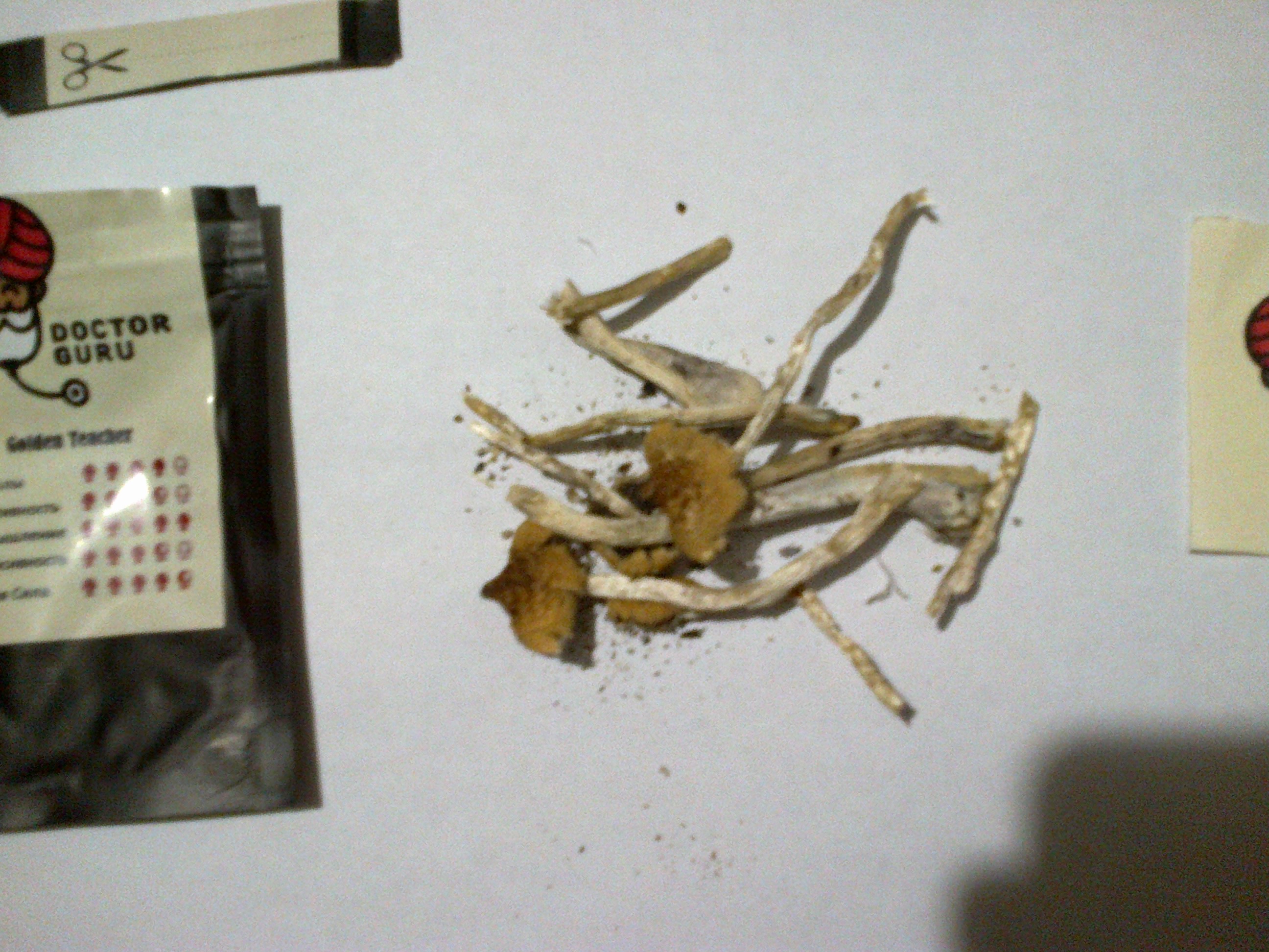 201120192194.jpg