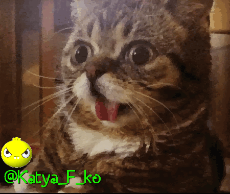 20180504_125844.gif