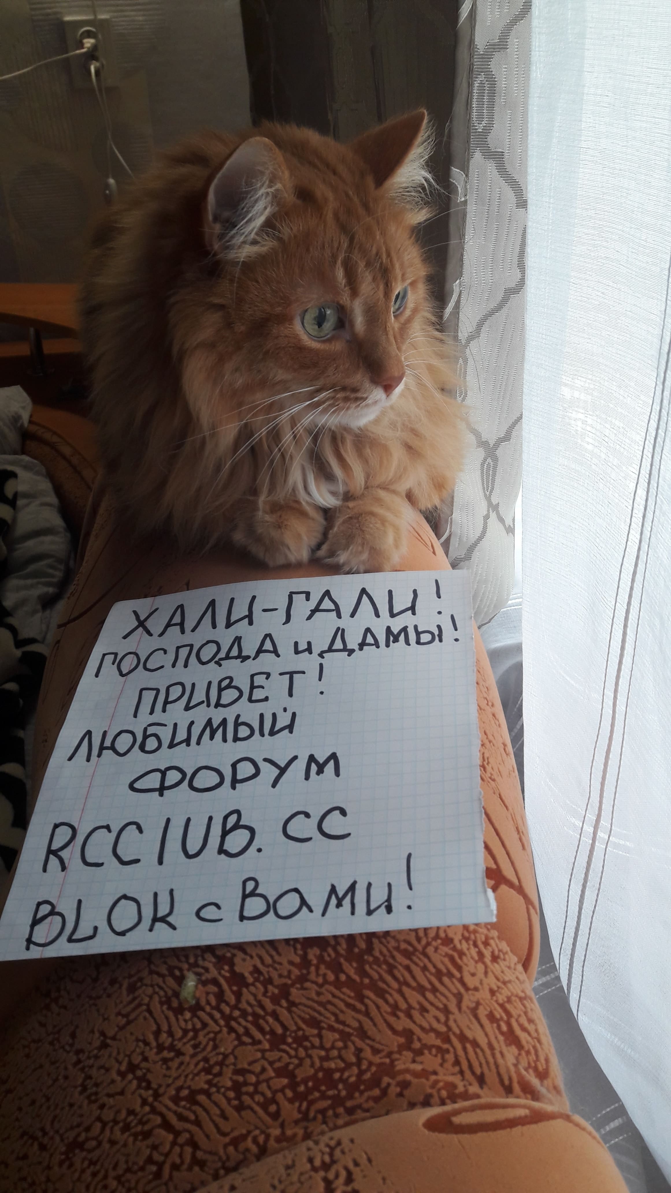 20180528_172707.jpg