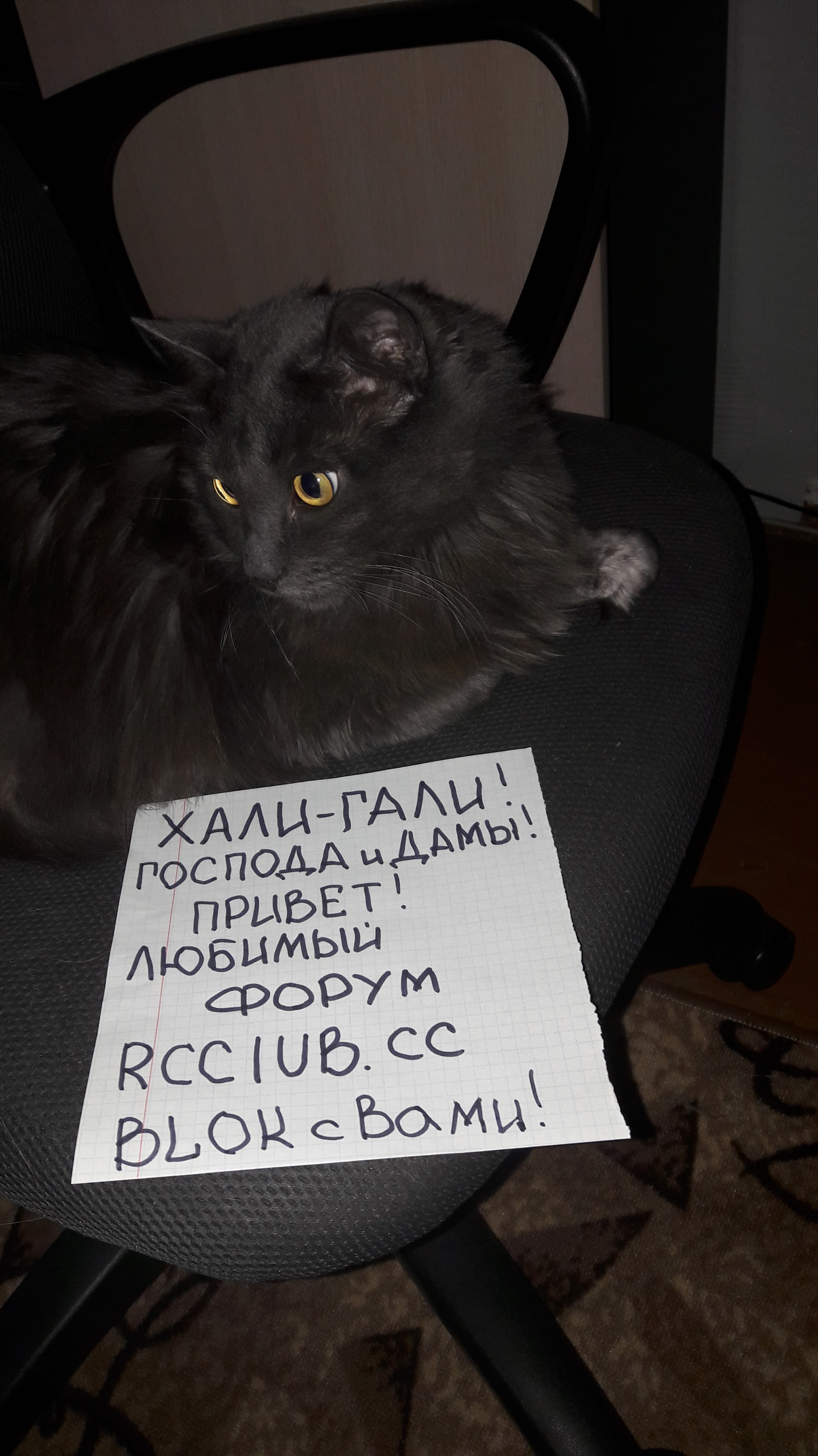 20180528_172748-min.jpg